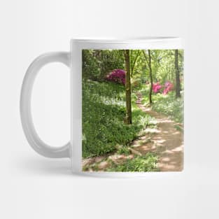 Pathway through a Woodland Mug